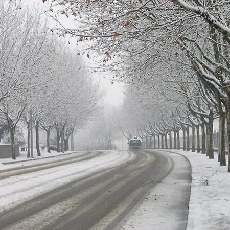 Quinta Dos Castanheiros - *