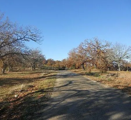 Quinta Dos Castanheiros - *