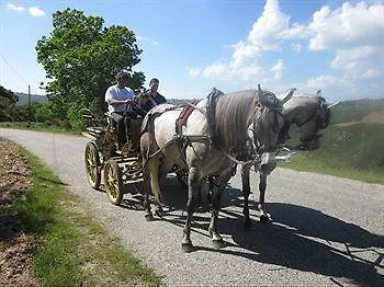 Quinta Dos Castanheiros - Negreda