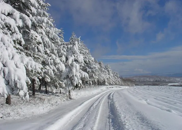 Quinta Dos Castanheiros - منزل ريفي
