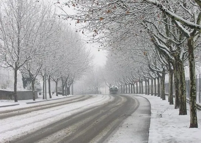 Quinta Dos Castanheiros - *