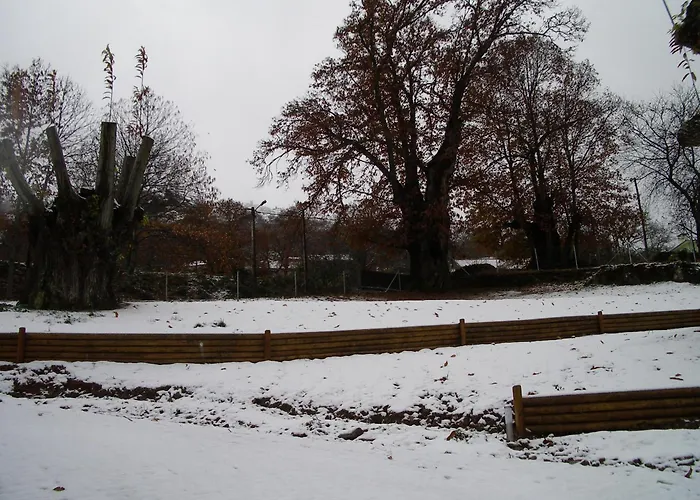 Quinta Dos Castanheiros - *