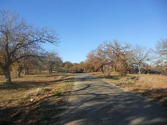 Quinta Dos Castanheiros - *