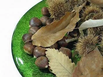 Quinta Dos Castanheiros - * Negreda