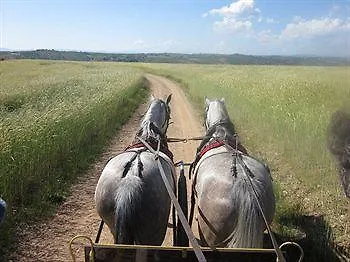 Quinta Dos Castanheiros - Negreda